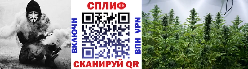Где найти наркотики Красный Кут Канабис  МЕГА зеркало  Гашиш  Меф мяу мяу 