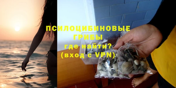 крисы Нефтекумск