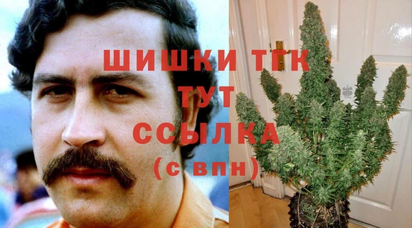 стаф Нефтегорск