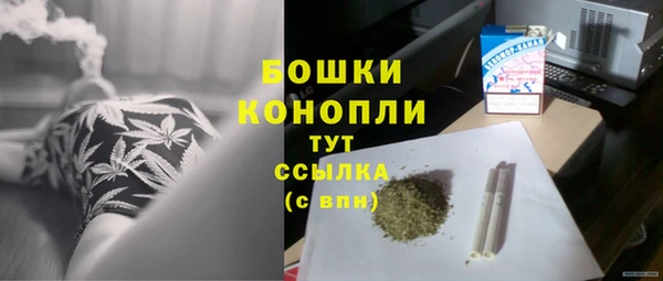 стаф Нефтегорск