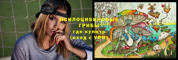 крисы Нефтекумск